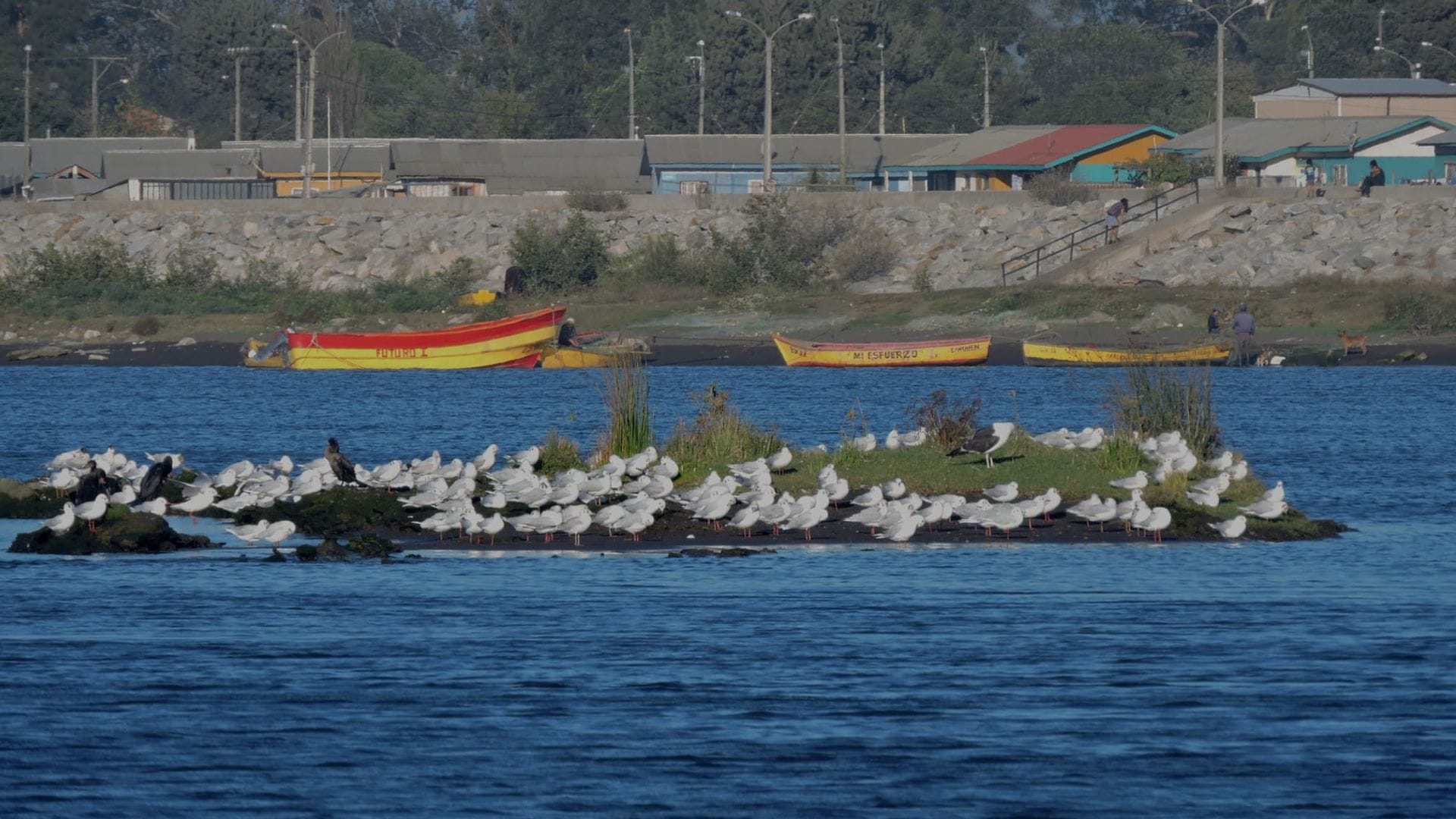 Solicitan modificar estructura en caleta Alto del Rey de San Pedro de la Paz