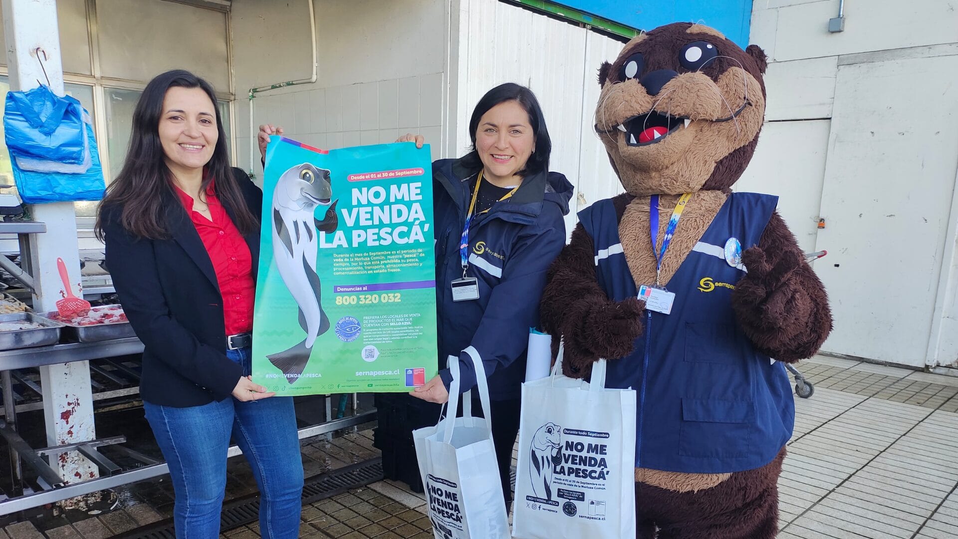 Lanzan campaña “No me venda la pescá” en el Biobío: Llaman a preferir otros pescados y mariscos