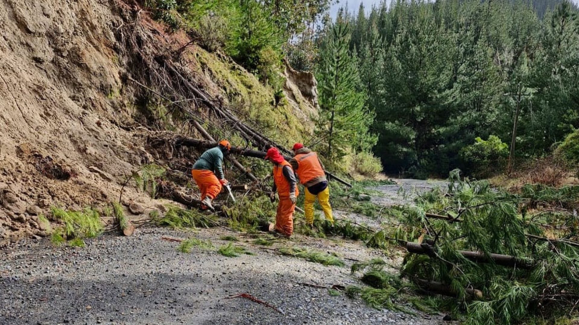 Temporal en el sur: CMPC desplegó su red de apoyo para afectados de las regiones del Maule, Ñuble y del Biobío