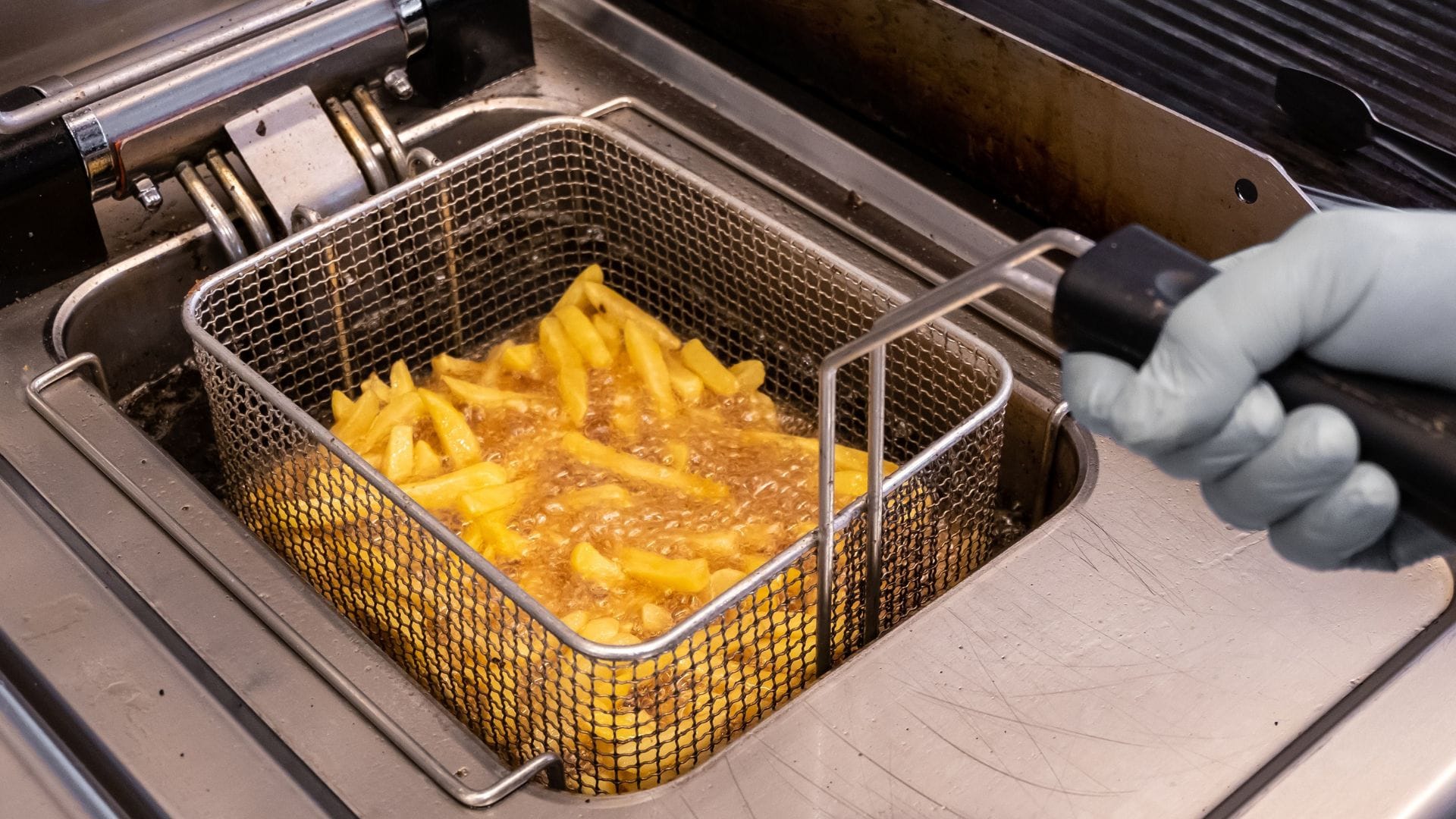 Día Internacional de las Papas Fritas: Experta de Concepción entrega datos sobre el querido plato