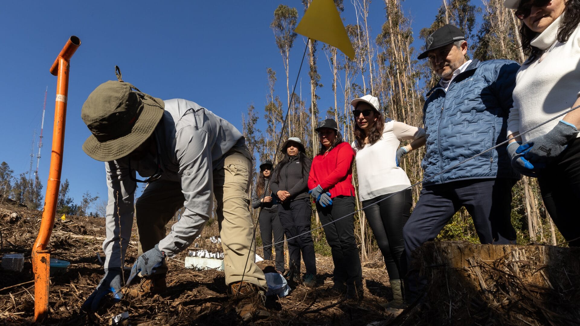 Futuro Jardín botánico en la UdeC: se realizó primera jornada de plantación de especies endémicas arbóreas amenazados
