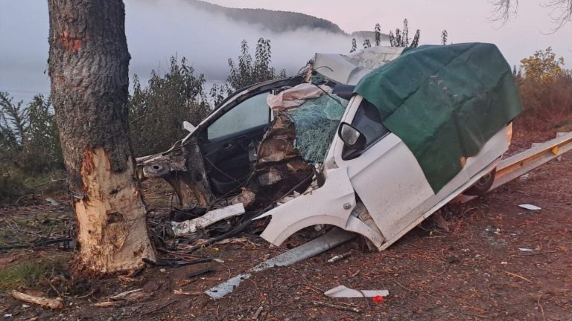 Joven de 20 años fallece tras chocar contra un árbol en Valdivia