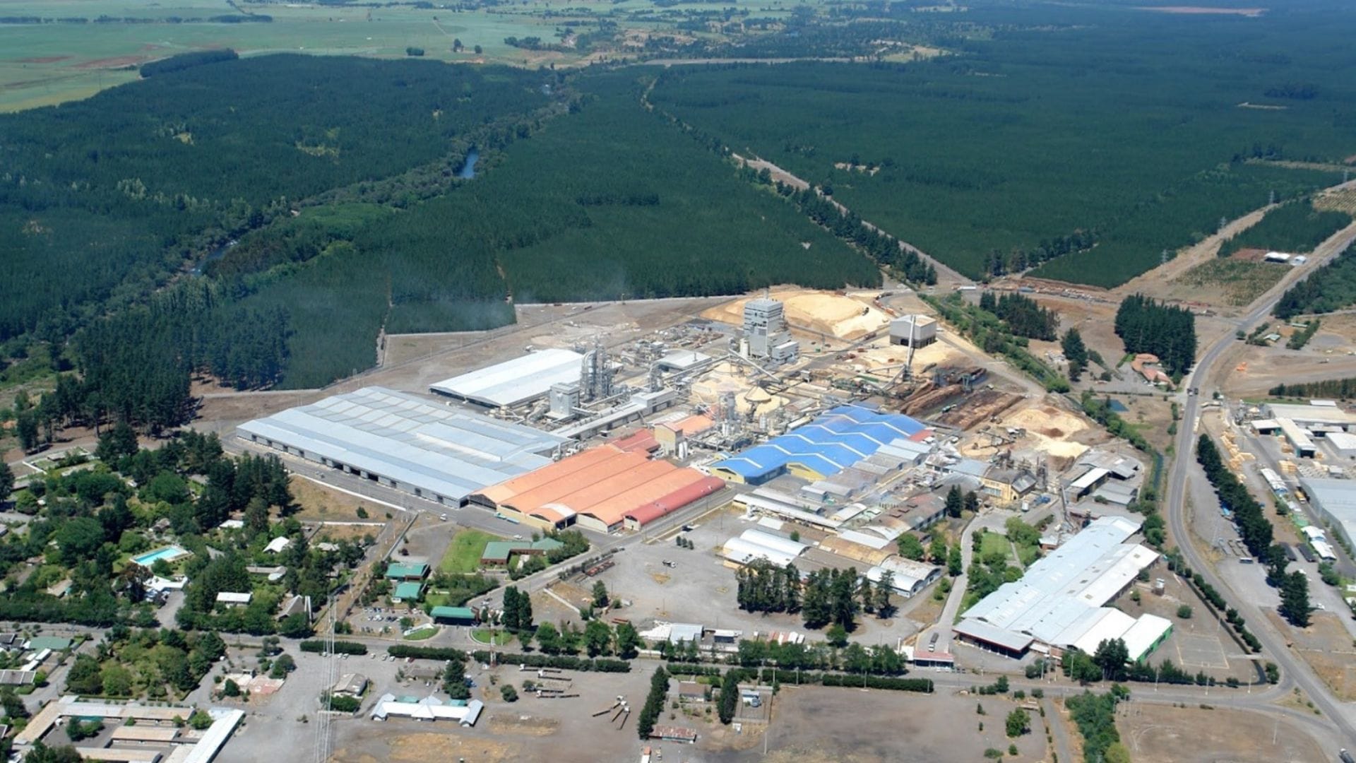 Empresa Arauco revoluciona la industria de la construcción en Chile invirtiendo US$100 millones para tableros OSB