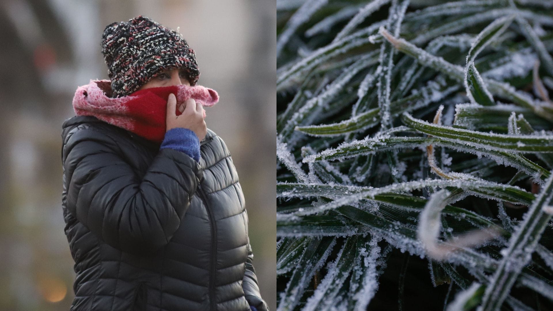 Llegará a los -5°C en el Biobío: Advierten sobre intenso frío en siete regiones ¿hasta cuándo durará?