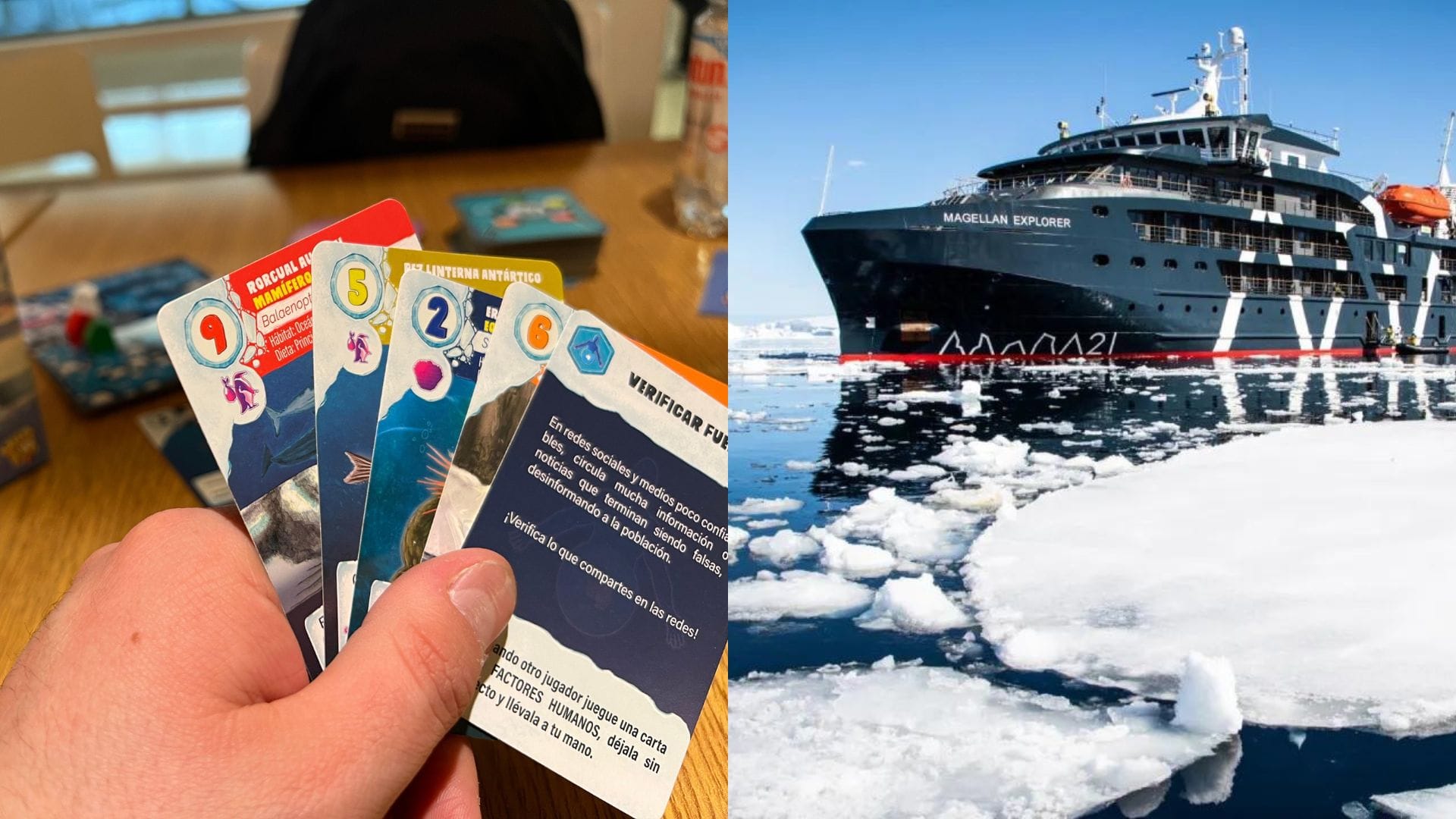 Compite por un viaje en crucero a la Antártica: Torneo de juego de mesa en Concepción ofrece inédito premio