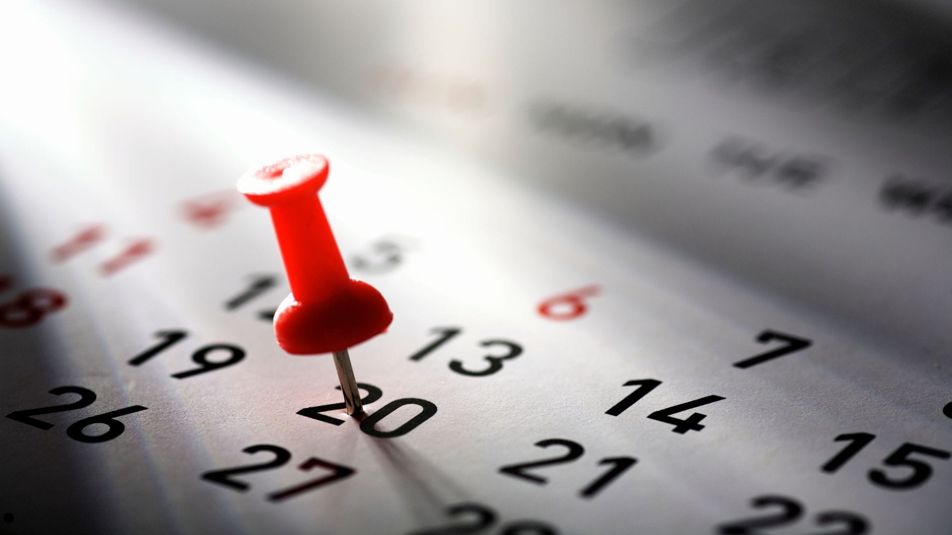 Feriados 2024: ¿Cuáles son los días festivos de agosto en Chile?