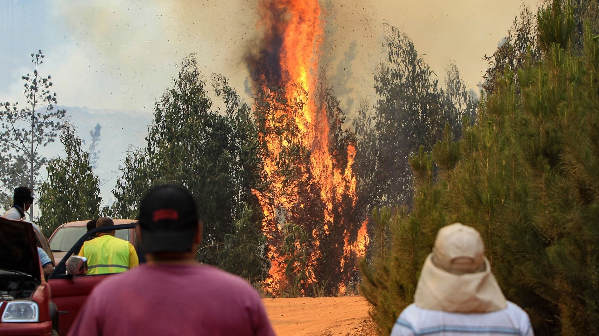 Se acerca una “temporada riesgosa” de incendios forestales en cordón Penco-Tomé: Proponen medidas preventivas