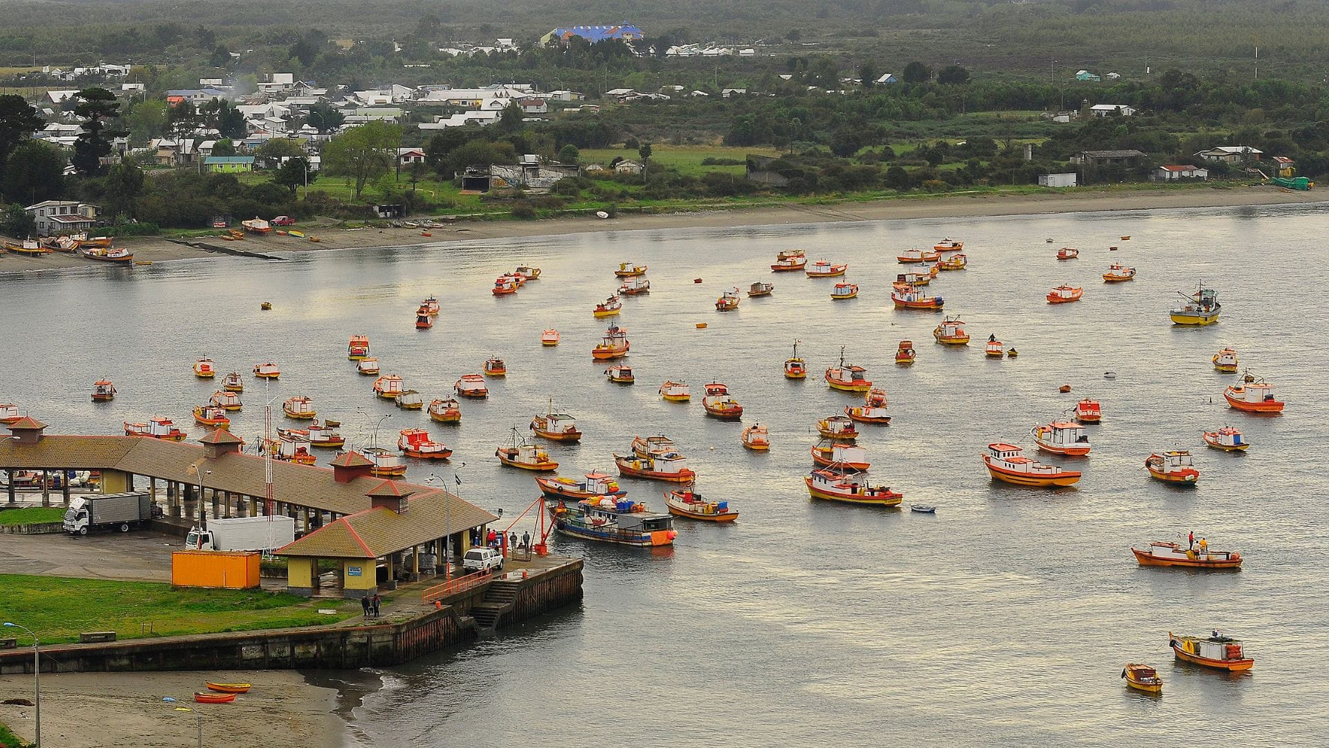 Editorial: Ley de Pesca, si no se hace bien su impacto podría ser mayor al cierre de Huachipato