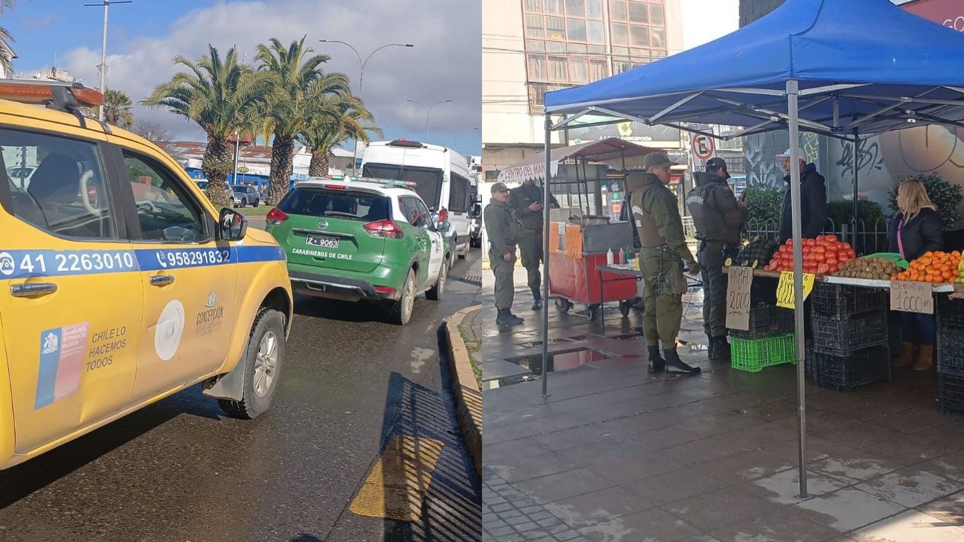 Concretan operativo para enfrentar comercio ilegal en el centro de Concepción