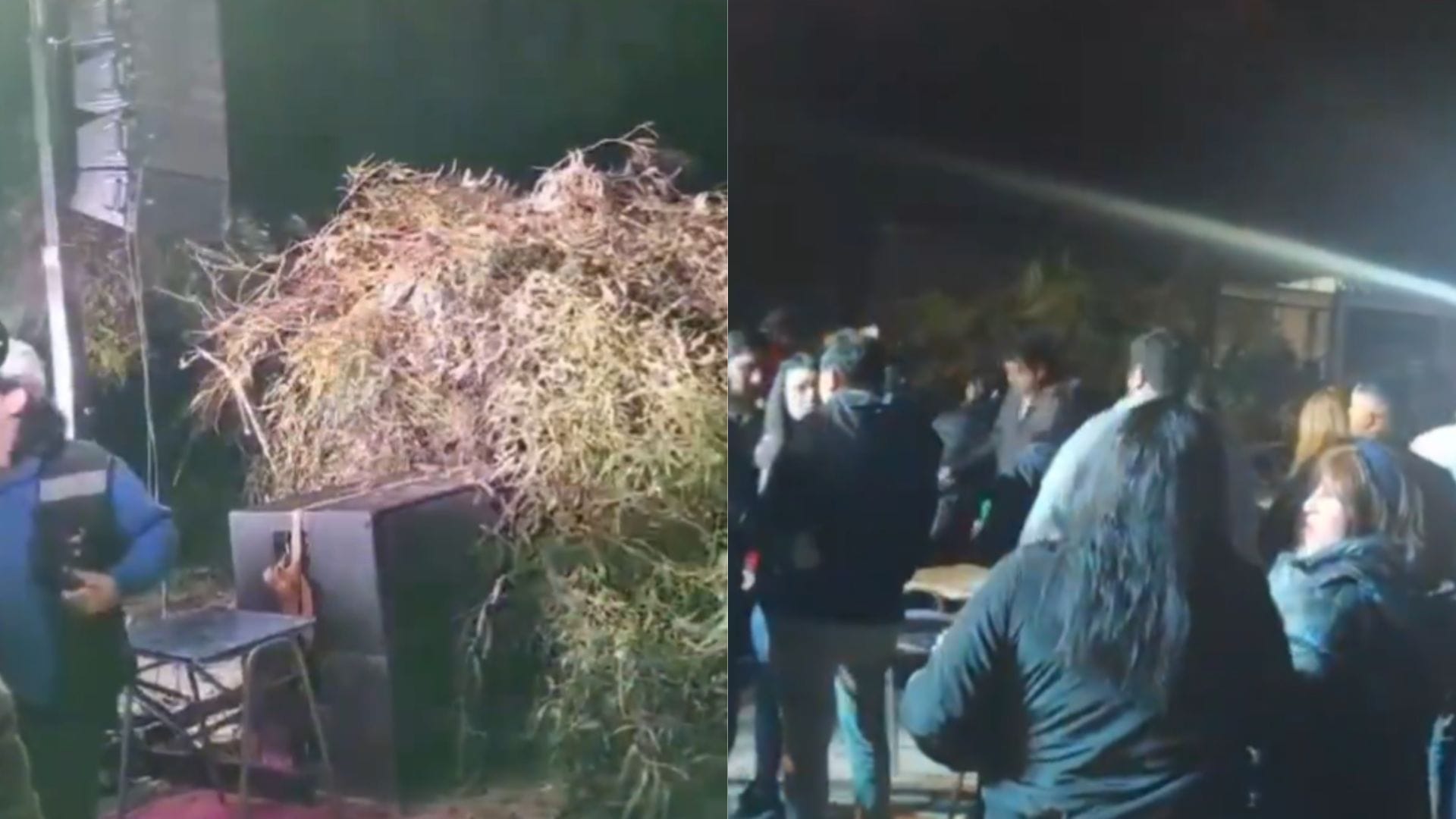 Caída de árbol deja 11 lesionados durante evento en casino Media Luna de Ovalle