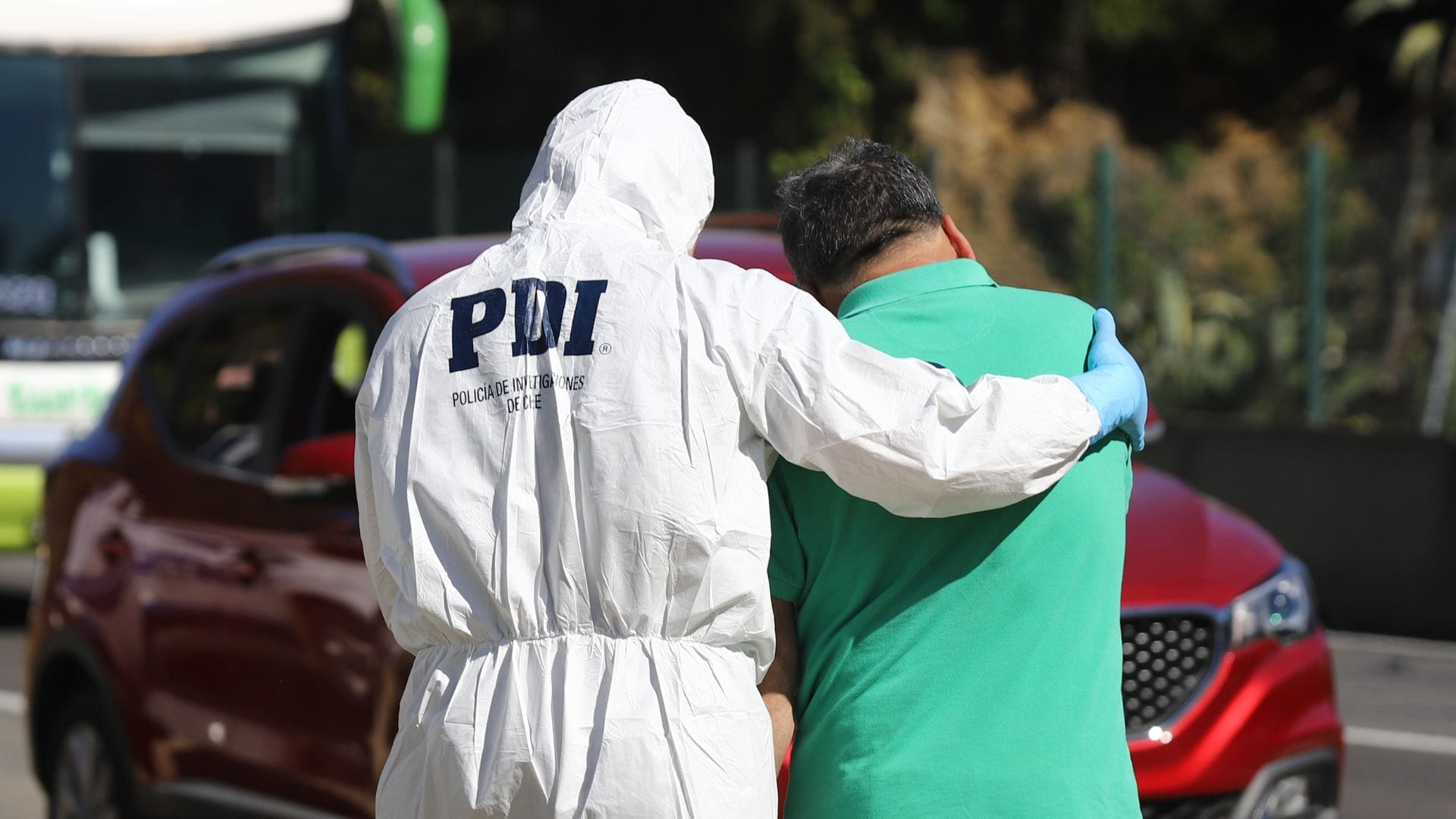 Buscaban una pelota y encontraron restos de un cadáver humano: Investigan macabro hallazgo en Llanquihue