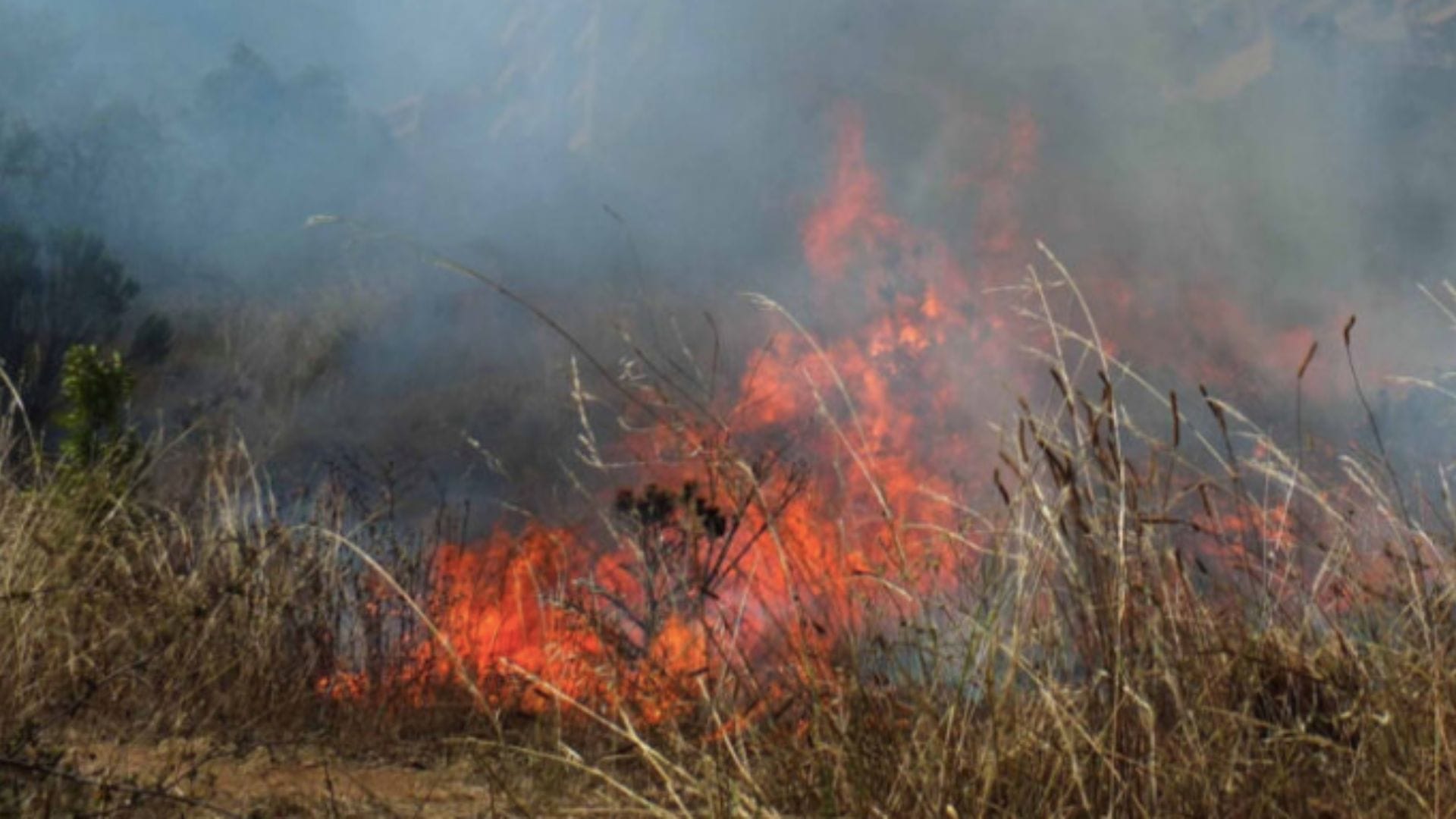 Encuentran cuerpo de una mujer en medio de incendio en un basural en Peñaflor