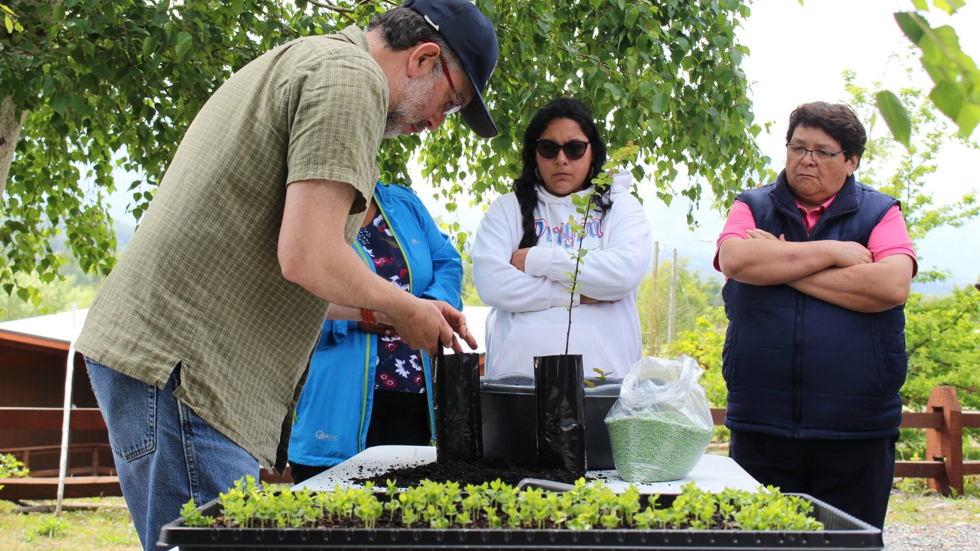 Desarrollan programa “Regenera Biobío” en 5 comunas