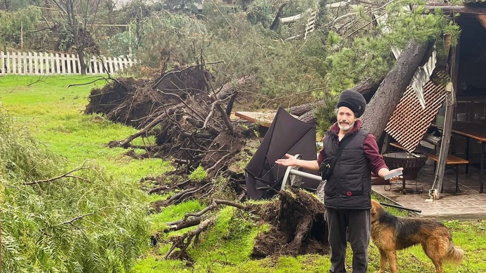 Árbol cae sobre la casa de Quique Neira en Batuco