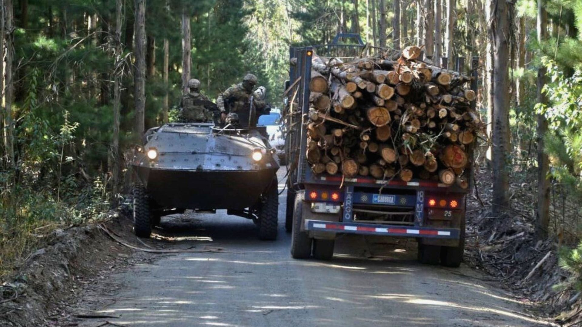 Robo de madera en Arauco registra más de 400 detenidos en los últimos tres años: Disminuyen las denuncias