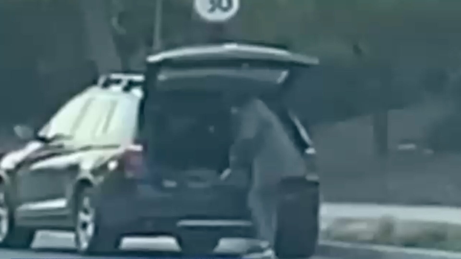 Magistrada del Juzgado de Garantía sería autora del robo de piedras decorativas en Chicureo