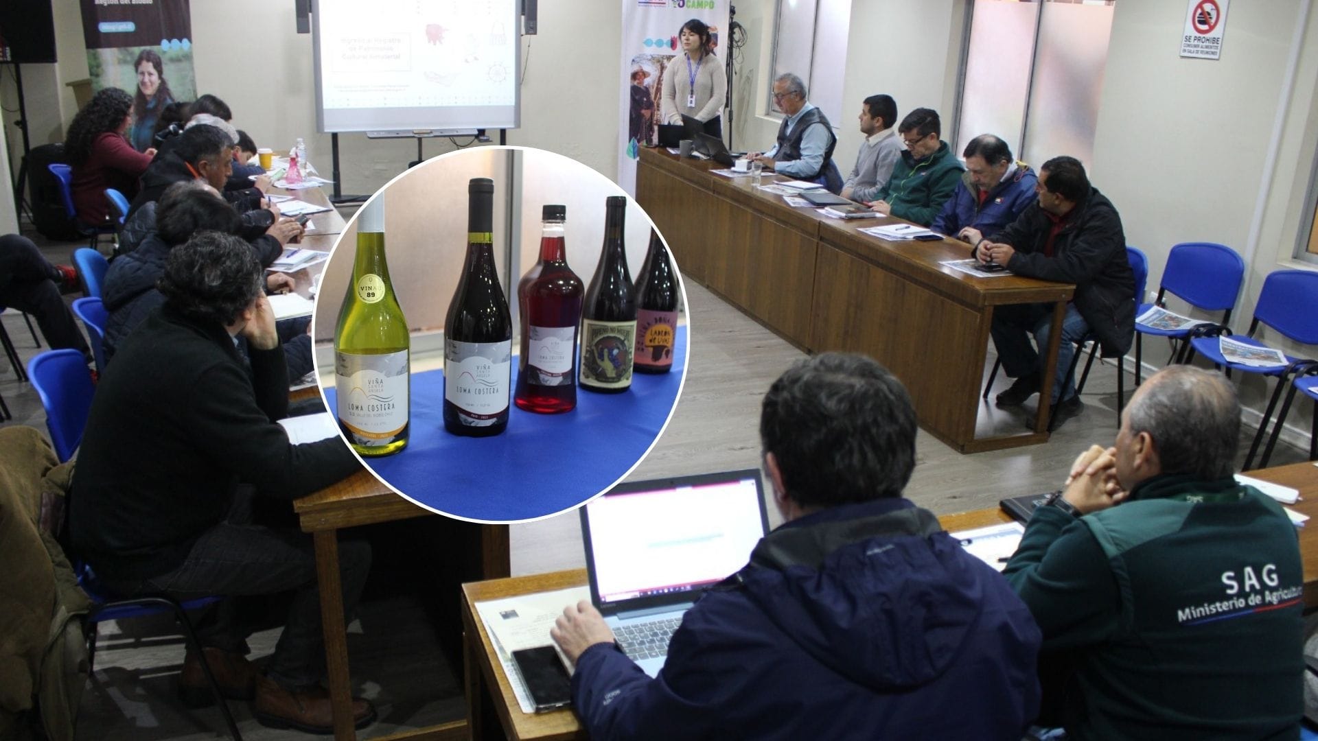 Mesa Regional del Vino en el Biobío se concretó con foco en el enoturismo y la denominación de origen para viñateros