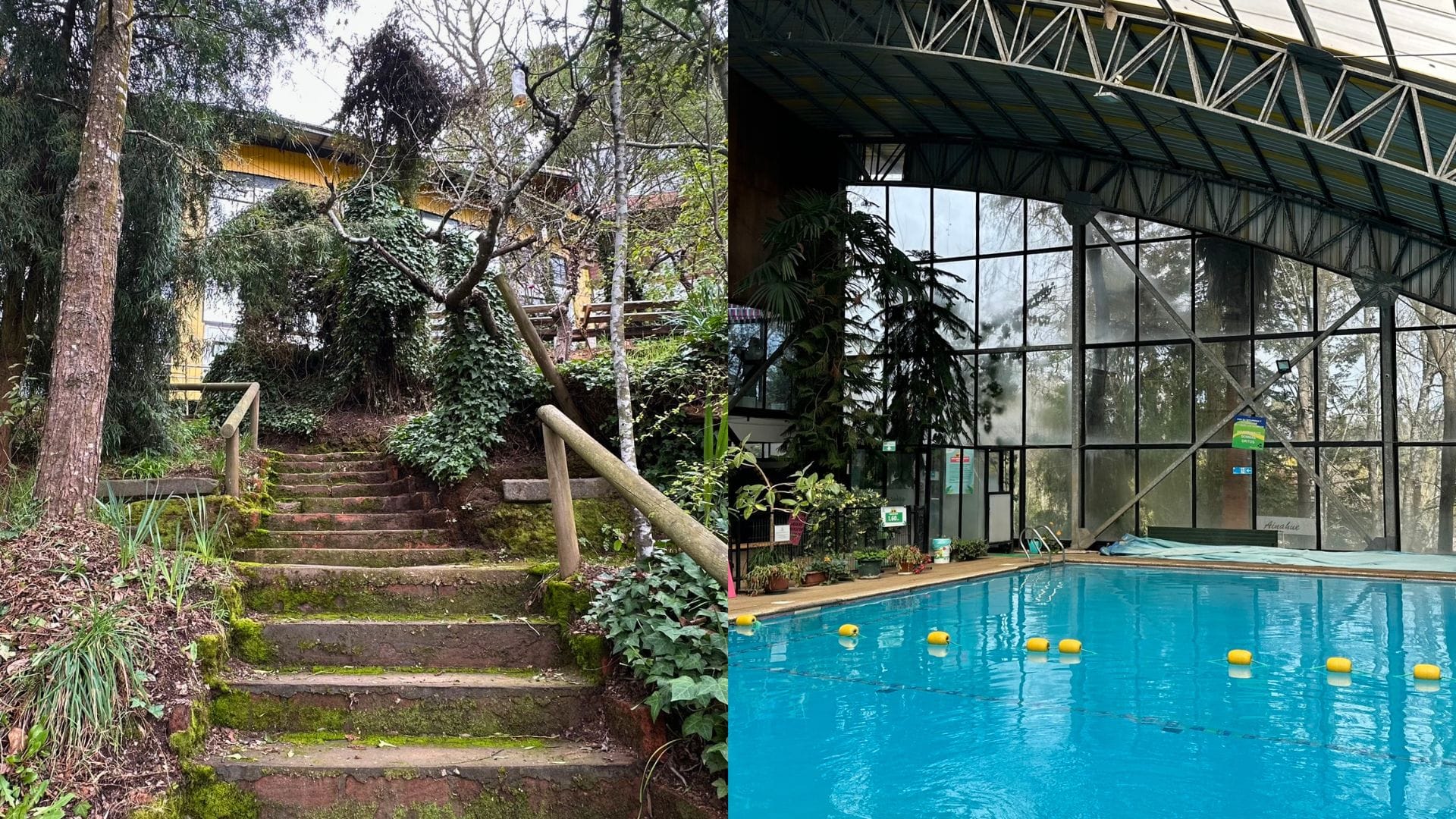 Un íntimo rincón sureño dentro del Gran Concepción: La historia familiar detrás de populares cabañas y piscinas
