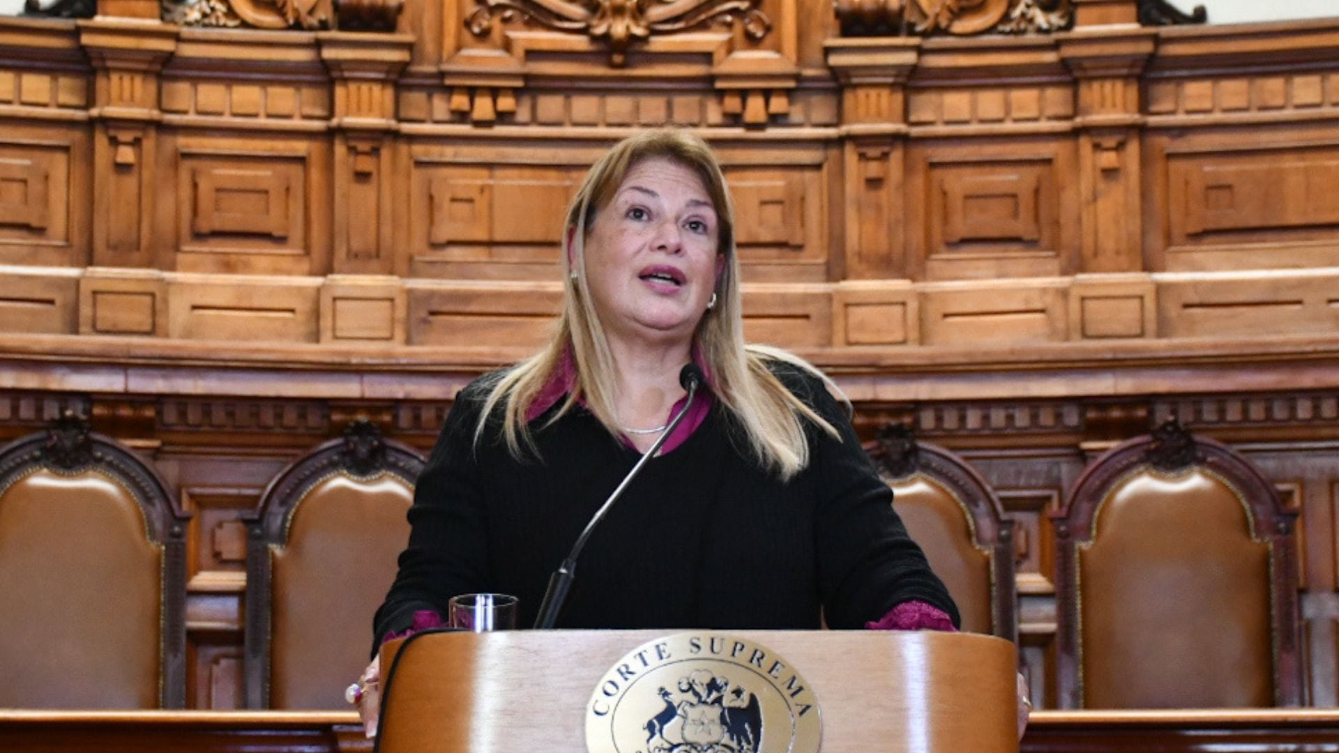 ¿Quién es Ángela Vivanco? El descargo de la ministra que mantuvo sospechosos chats con Luis Hermosilla