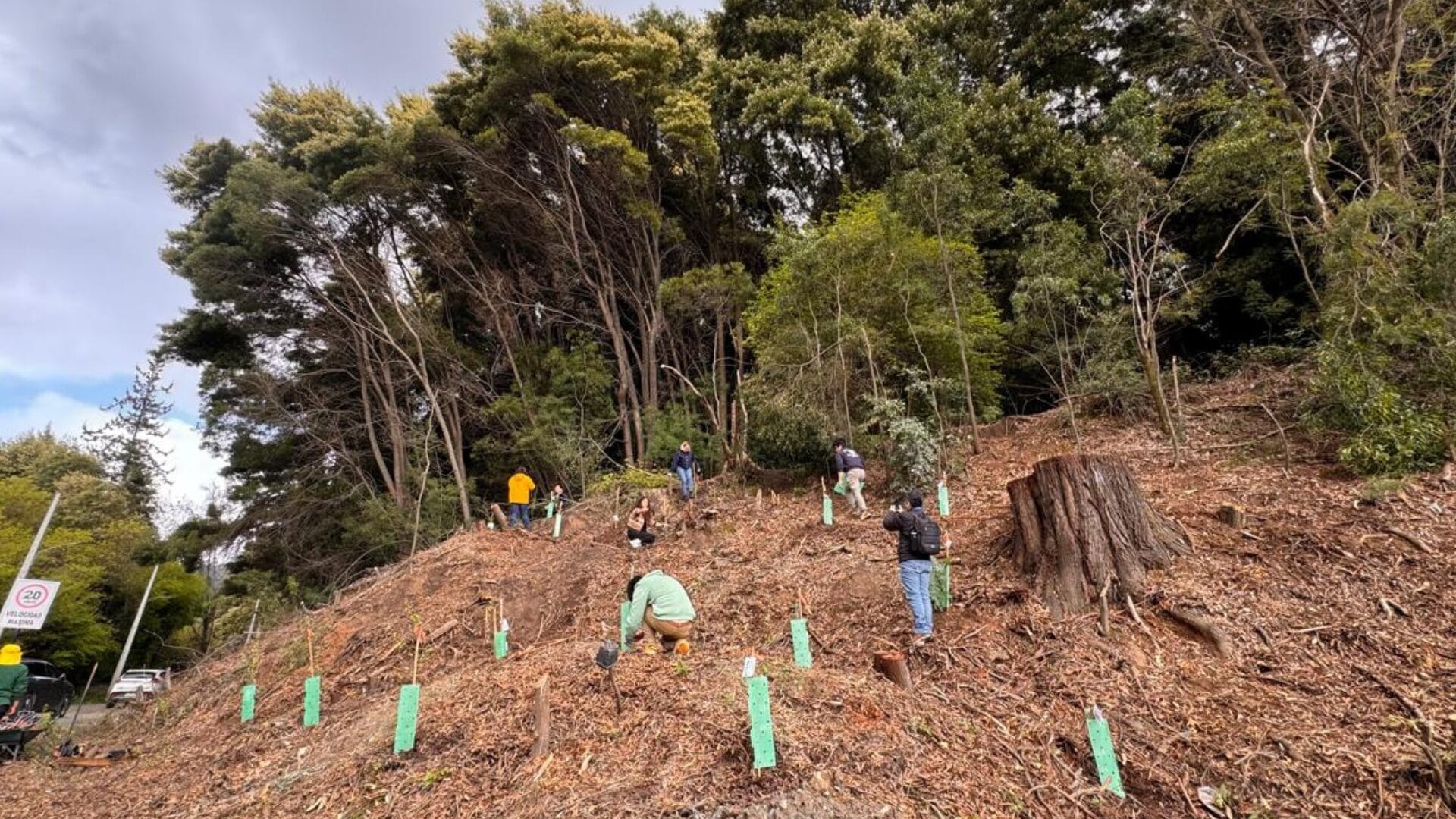 Firman convenio de colaboración para recuperar el cerro Kimún en el sector Nonguén