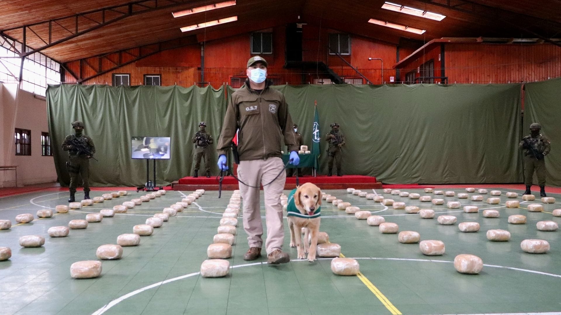 La mayor incautación en los últimos 10 años en La Araucanía: Decomisan 160 kilos de marihuana que iba a ser vendida en el sur