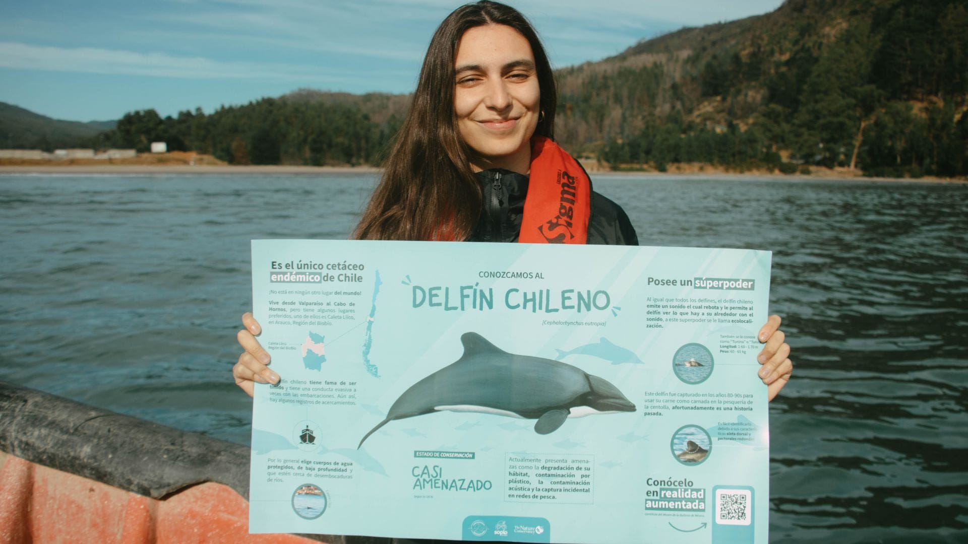 Proyecto de conservación de delfín chileno en Región del Biobío: especie única en el mundo se encuentra en caleta Llico
