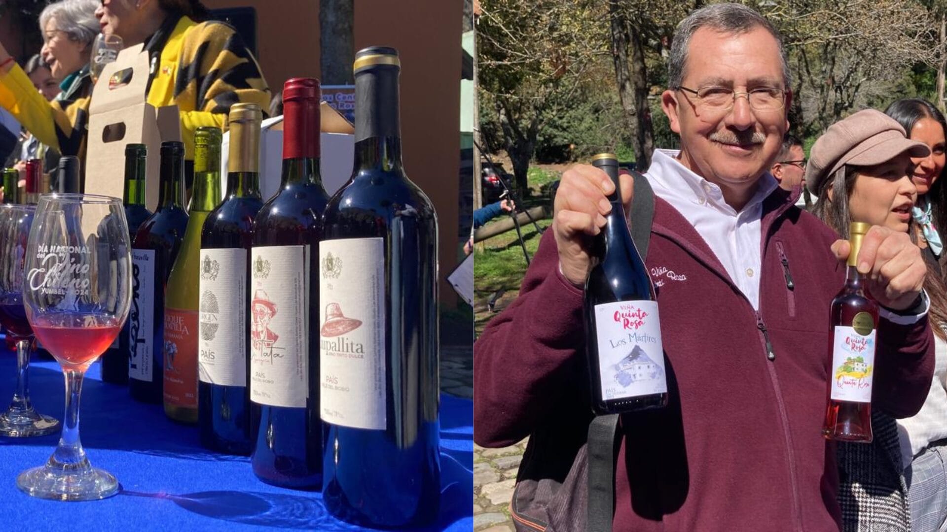 ¡Feliz Día Nacional del Vino! Vinicultores del Biobío exponen sus atractivos productos