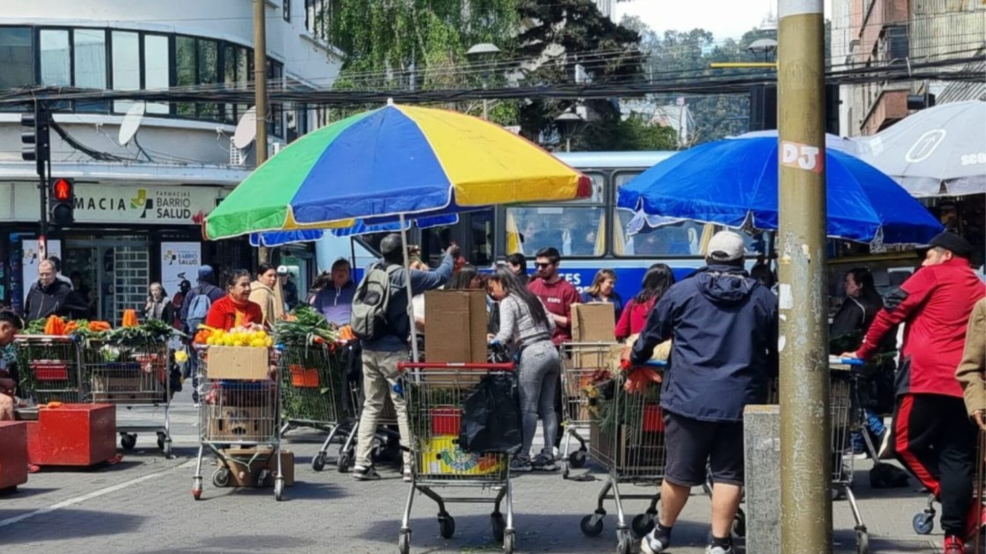 “Es difícil de controlar porque se ha masificado”: Autoridades del Biobío entregan detalles sobre el combate contra el comercio ilegal en la región