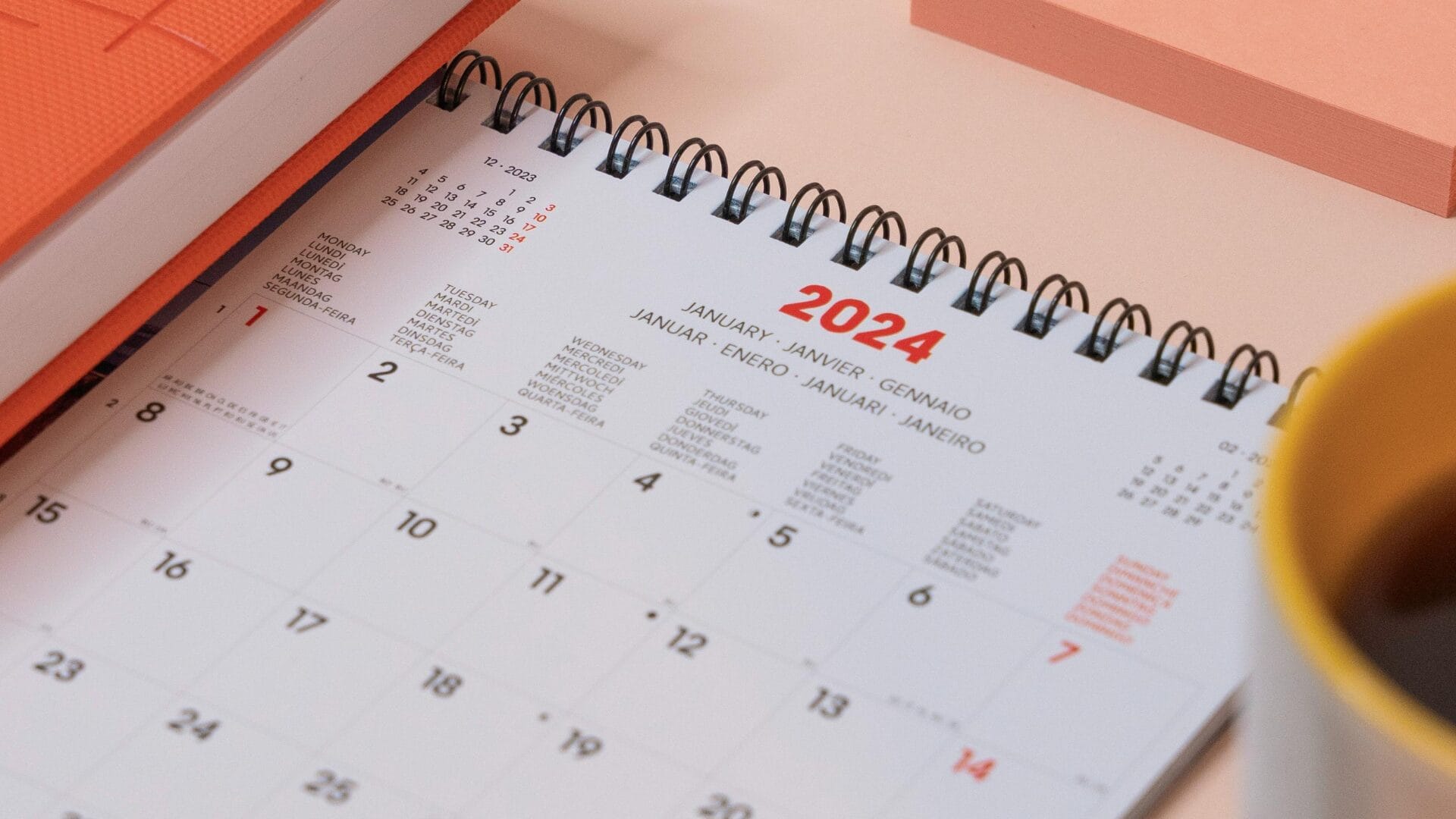 Se viene otro fin de semana largo en Chile: Revisa los próximos feriados del 2024