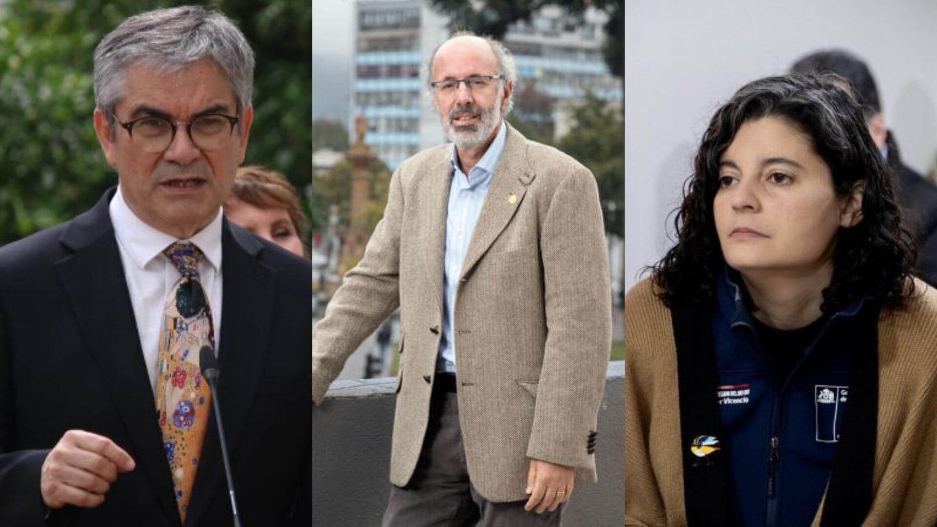 Autoridades reaccionan a proyecto de Arauco en Brasil: “Que invierta en otro país no es una pérdida para Chile”
