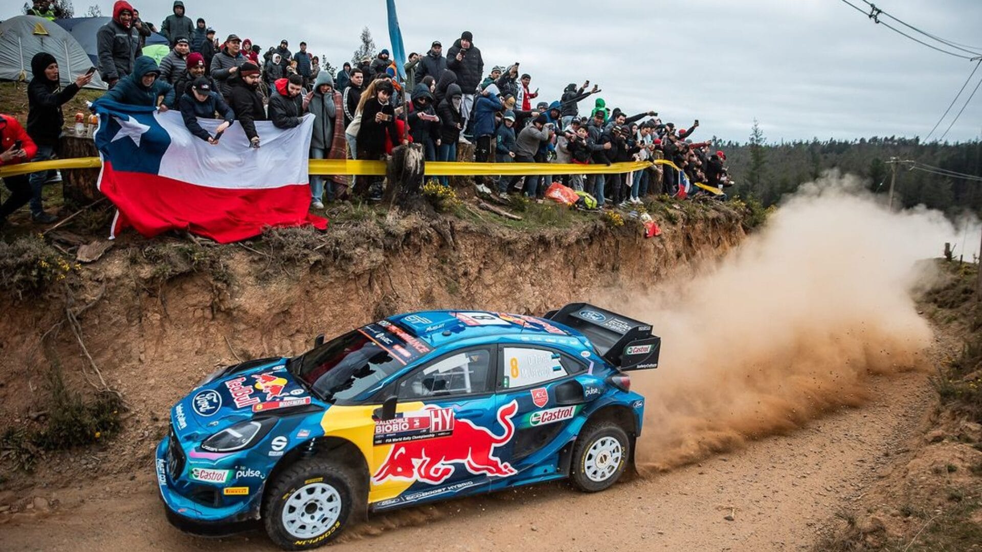 Realizan llamado a presenciar WRC Rally Biobío solo en zonas habilitadas de la ruta