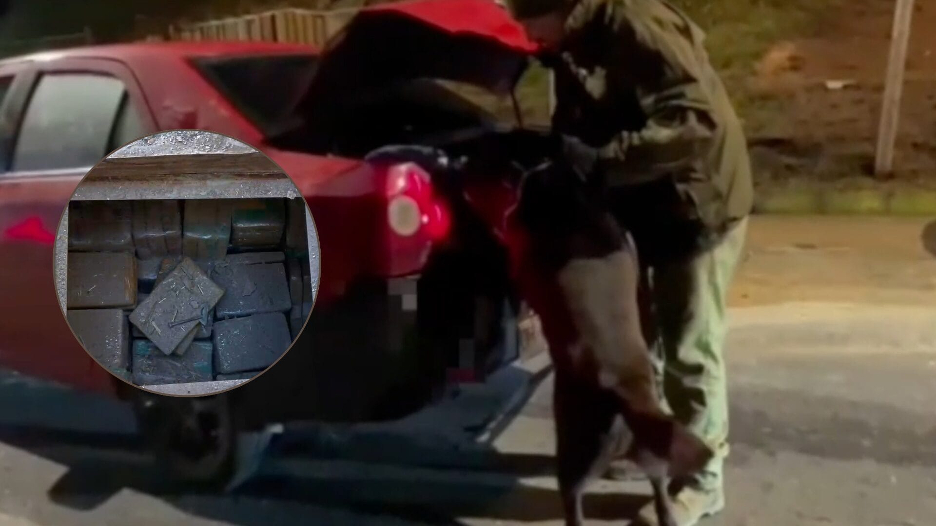 Fiscalización vehicular en el Biobío termina con incautación de 248 kilogramos de droga en Antofagasta