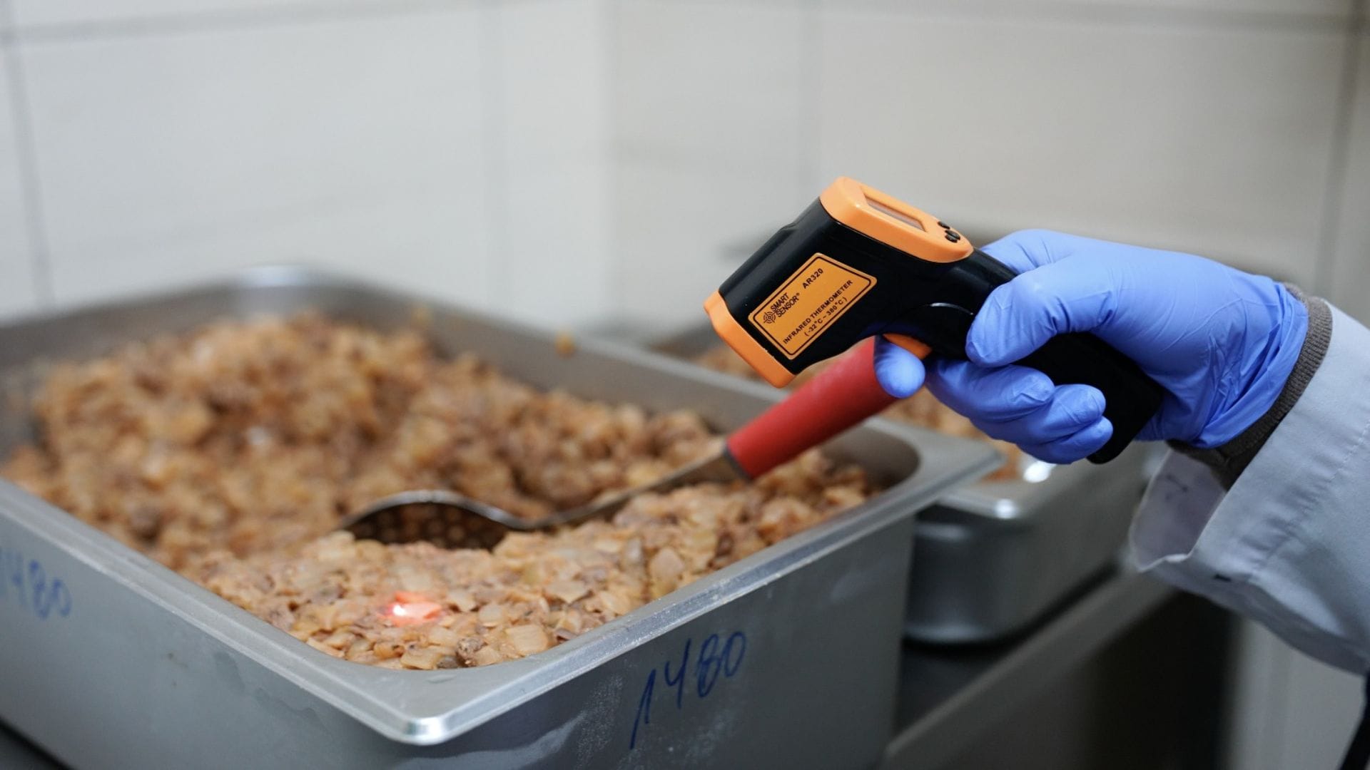 Más de una tonelada de carne han decomisado en el Biobío en vísperas de Fiestas Patrias