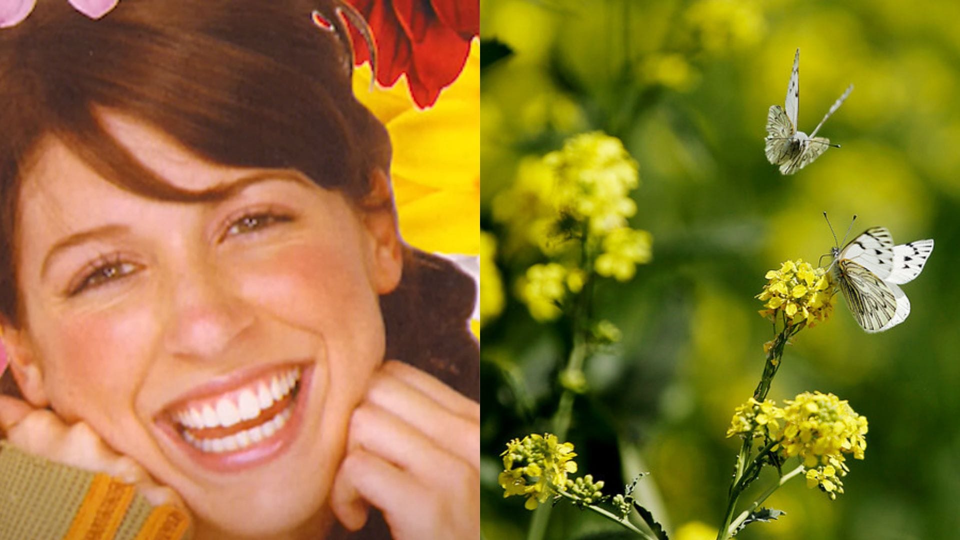 Nueva tradición primaveral: ¿Por qué se regalan flores amarillas el 21 de septiembre?