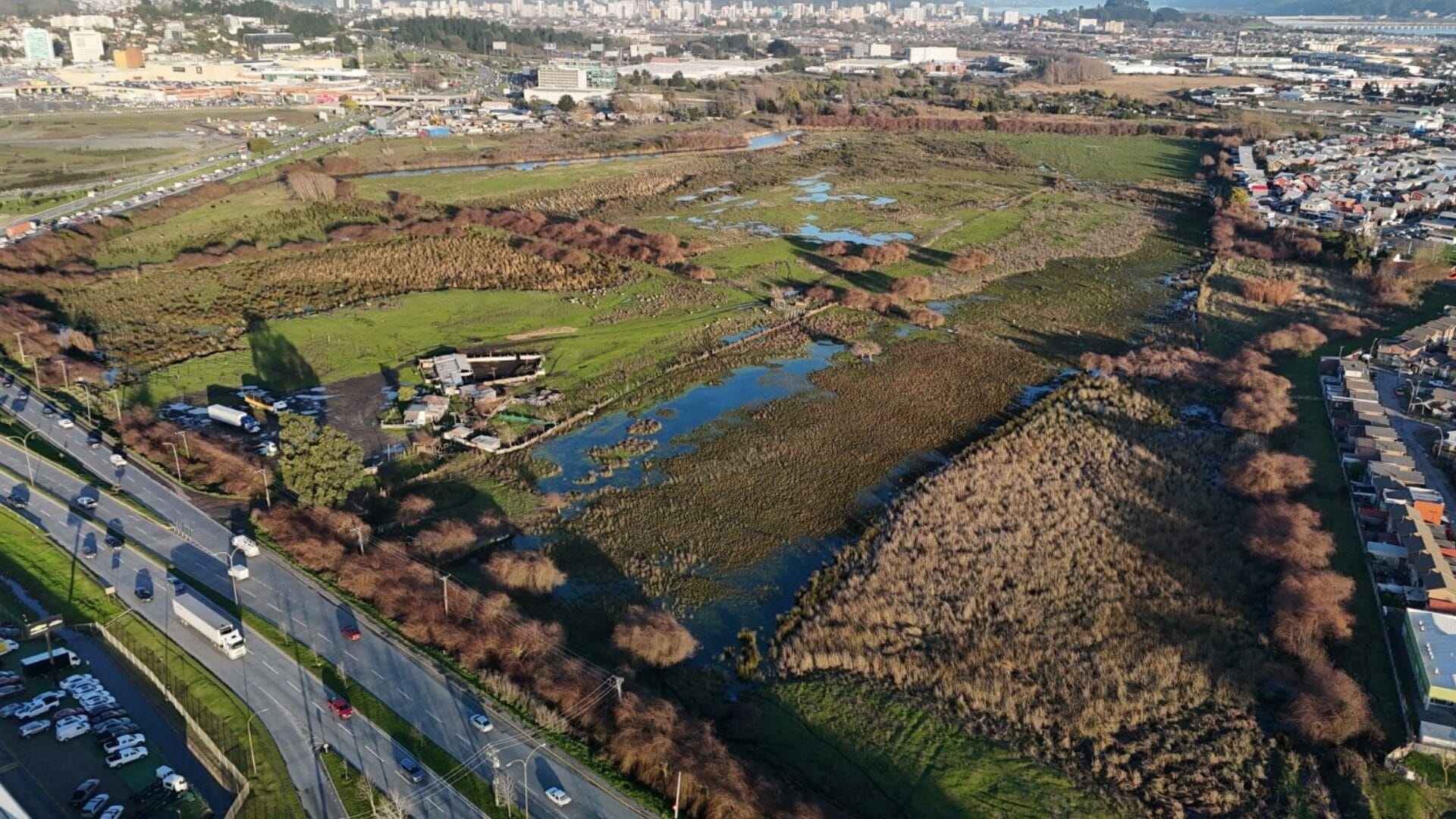 Declaran Humedal Urbano Vasco da Gama como área de alto valor ecológico para el Biobío