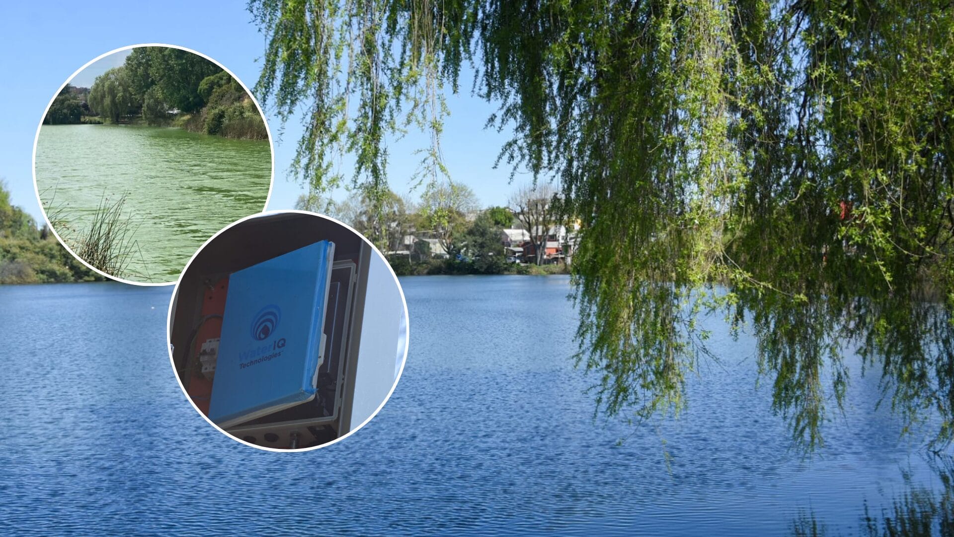 Instalan tecnología de ultrasonido para evitar floraciones de algas en Laguna Lo Méndez de Concepción