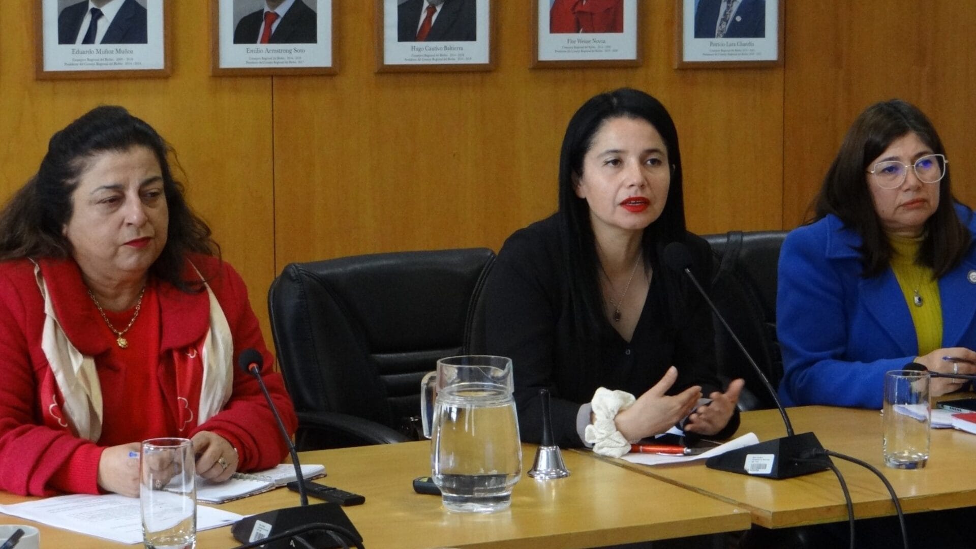 Aprueban nuevo protocolo contra la violencia con enfoque de género en el Core Biobío
