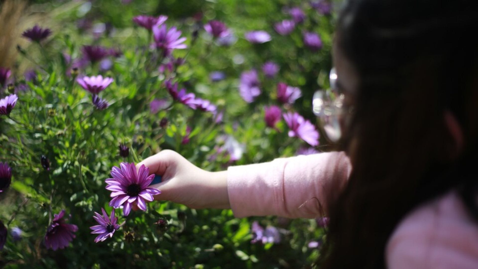 ¿Dónde estará mi primavera? Con lluvia partió la primavera en el Biobío