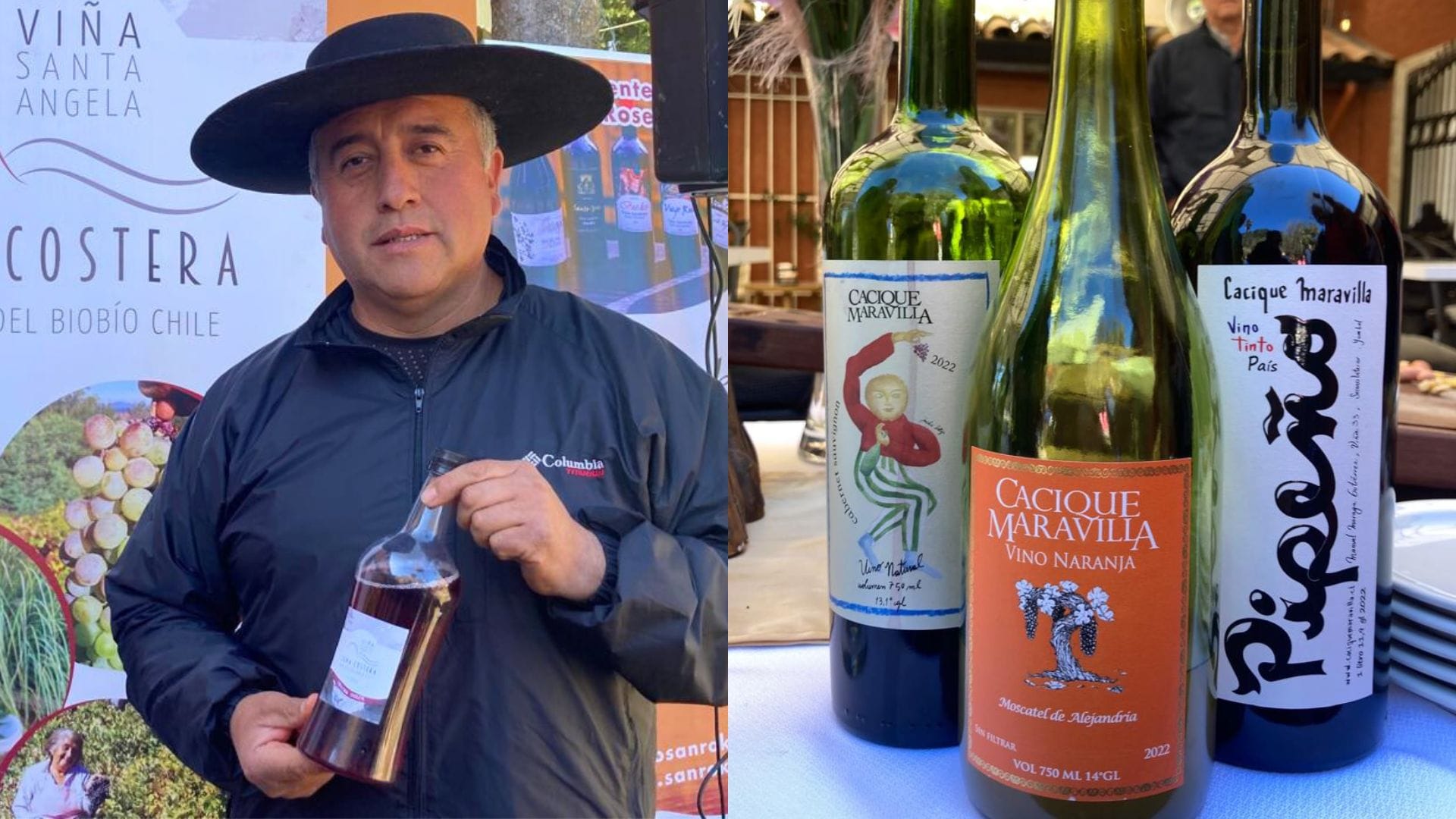Descubre la ruta vinícola del Biobío en este Día Nacional del Vino: Viñas con oferta turística