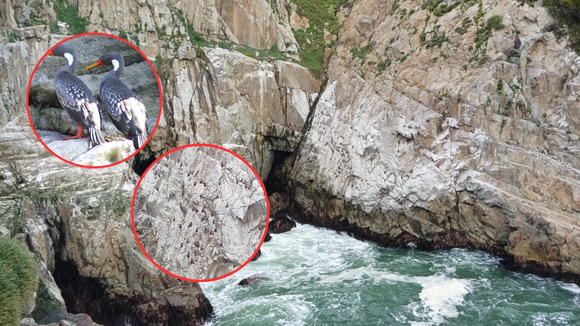 La cueva de los patos: Un “paraíso escondido” en la Península de Coliumo
