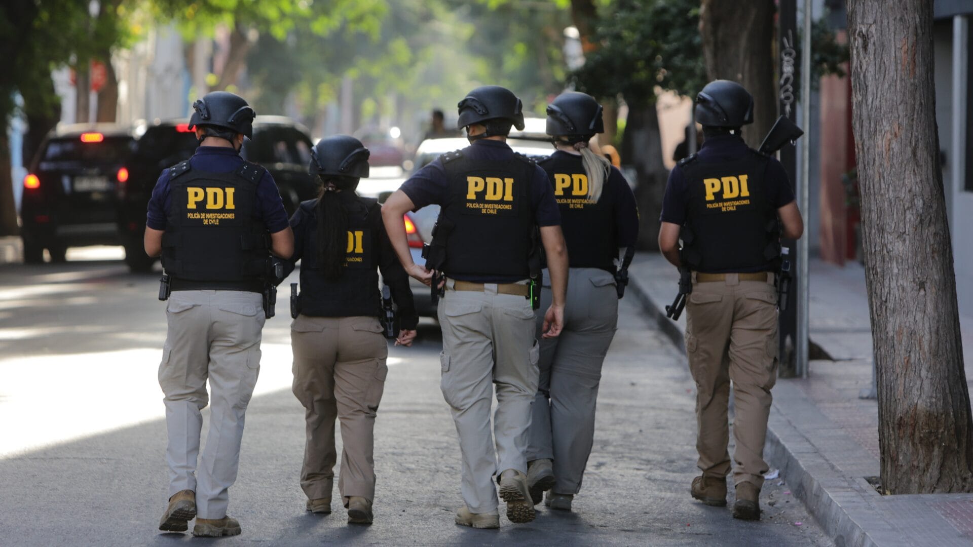 Múltiples operativos en Arauco dejan saldo de 12 detenidos y una persona arrestada