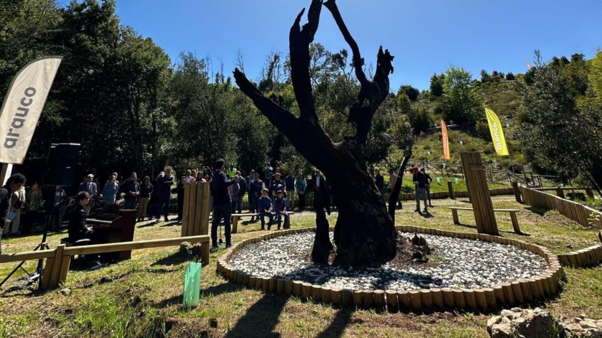 Parque Coyanmahuida de Florida: Restauración continúa avanzando tras reapertura al público
