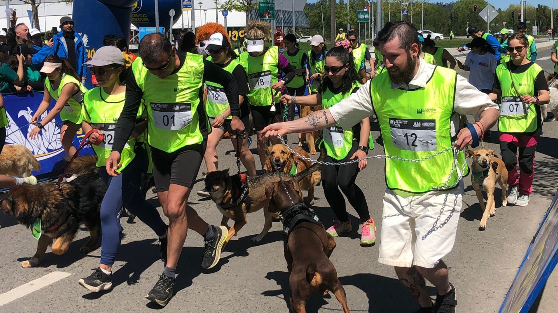 Gran Perritón Concepción 2024: Parque Bicentenario recibió el masivo evento para mascotas