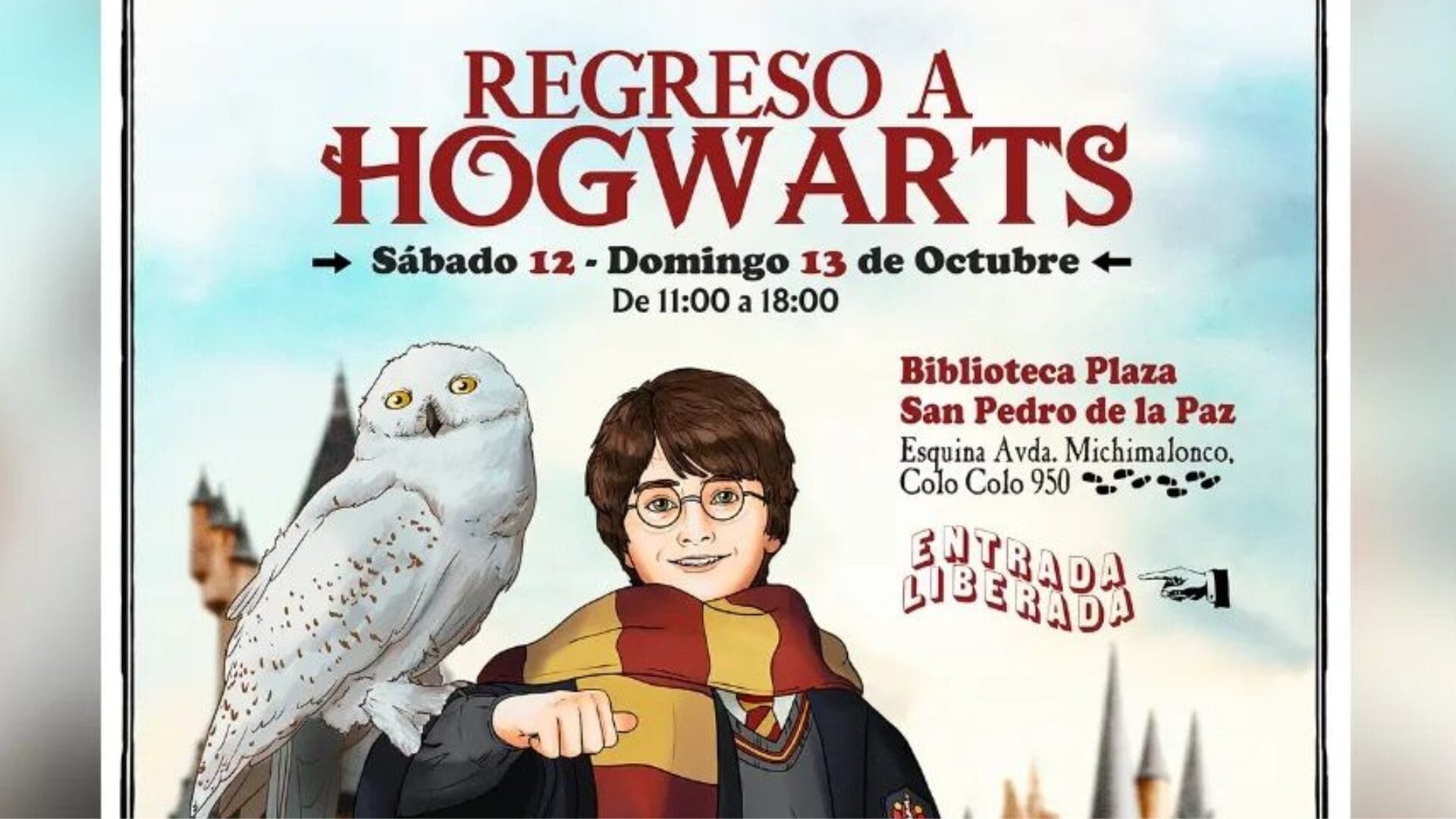 ¡Hogwarts llegó a San Pedro de la Paz! Agrupación literaria de Concepción reúne a fanáticos en evento