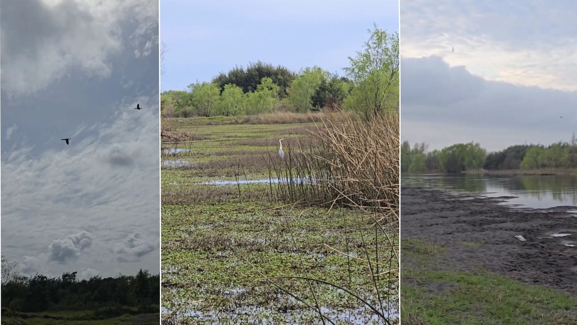 Incluía helicóptero: Productora Fabula suspende grabaciones en el Humedal Desembocadura Río Biobío de San Pedro de La Paz tras reclamo de vecinos