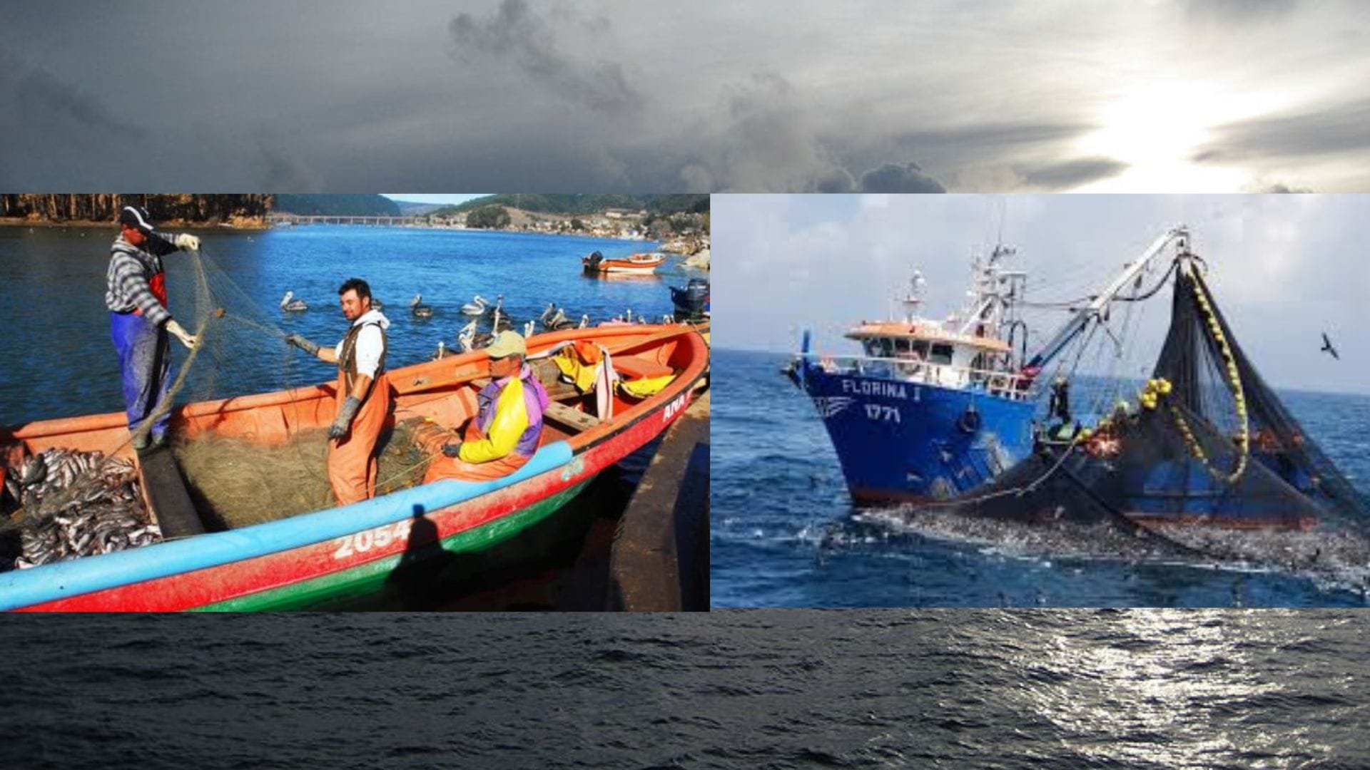 Ley de Pesca: Fraccionamiento de recursos genera reacciones extremas en diferentes actores
