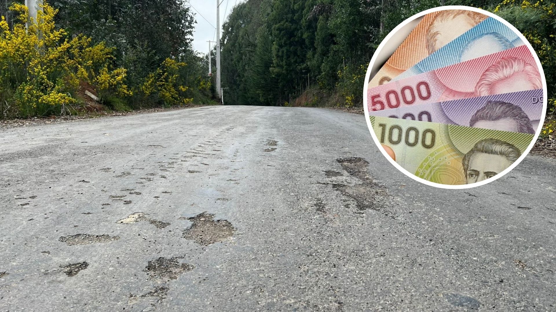 Cuánto costaron las intervenciones al camino  que lleva al centro de eventos del jefe de Vialidad