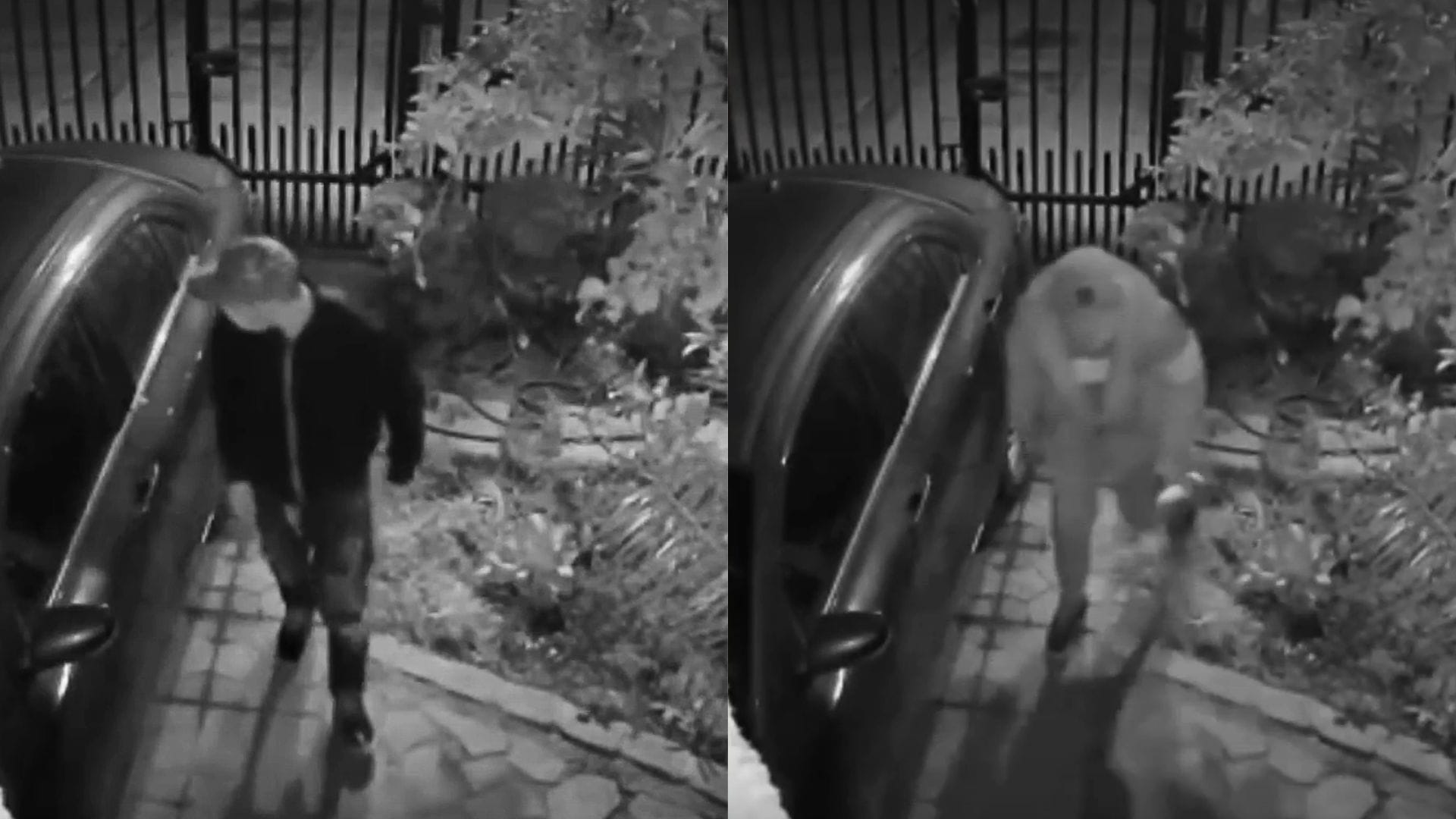 Violento “Turbazo” en Ñuñoa: Maniataron a adultos mayores y una mascota resultó muerta
