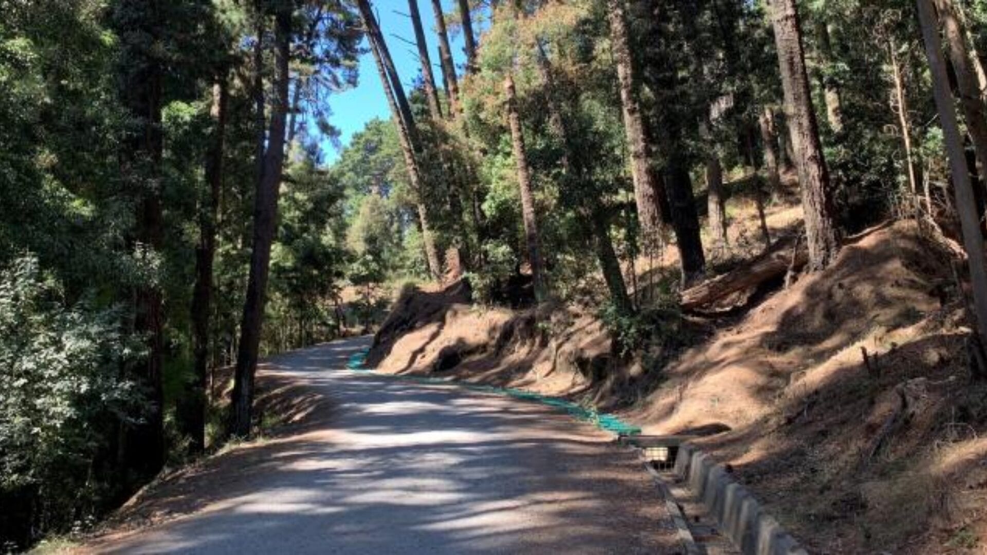 Se avanza en la concreción: ¿En qué está el proyecto del teleférico en el Parque Cerro Caracol de Concepción?