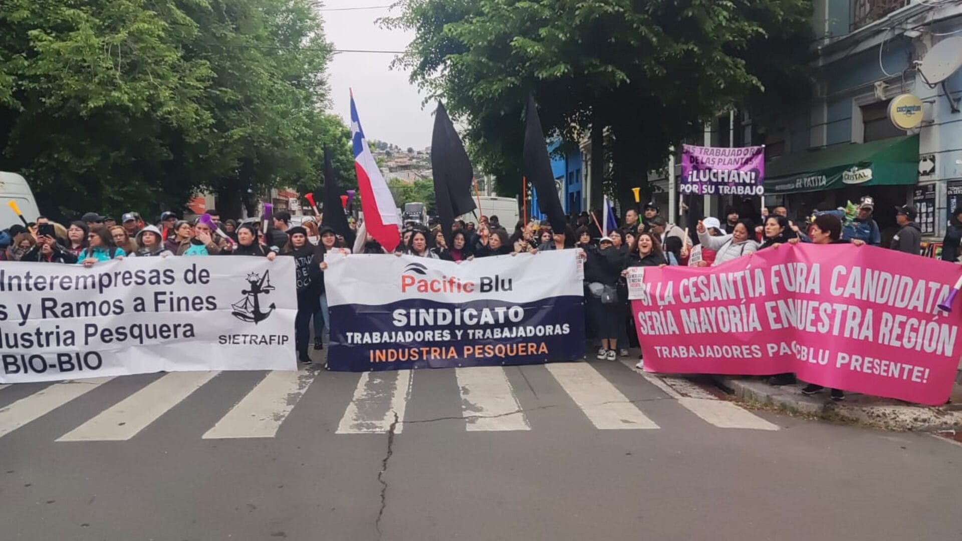 “Sentimos que nos han dado la espalda”: Trabajadores de la industria pesquera acusan traición de parlamentarios del Biobío